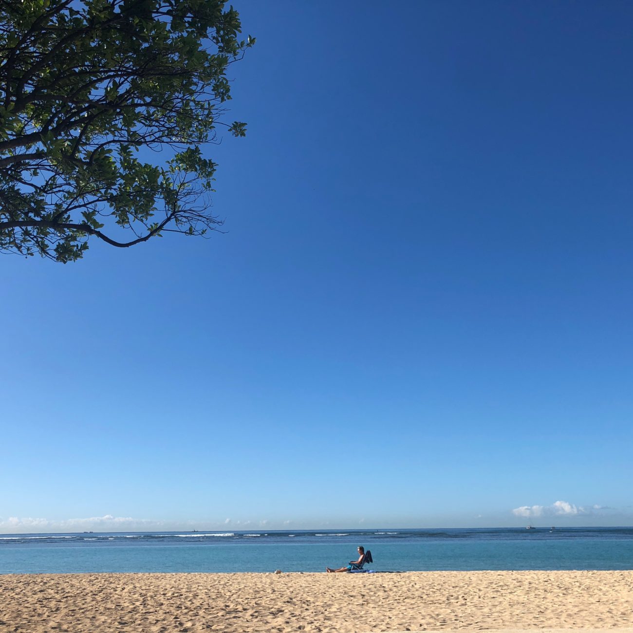 お気に入りのビーチ「アラモアナビーチ」をご紹介！ | 勝手にビーチ