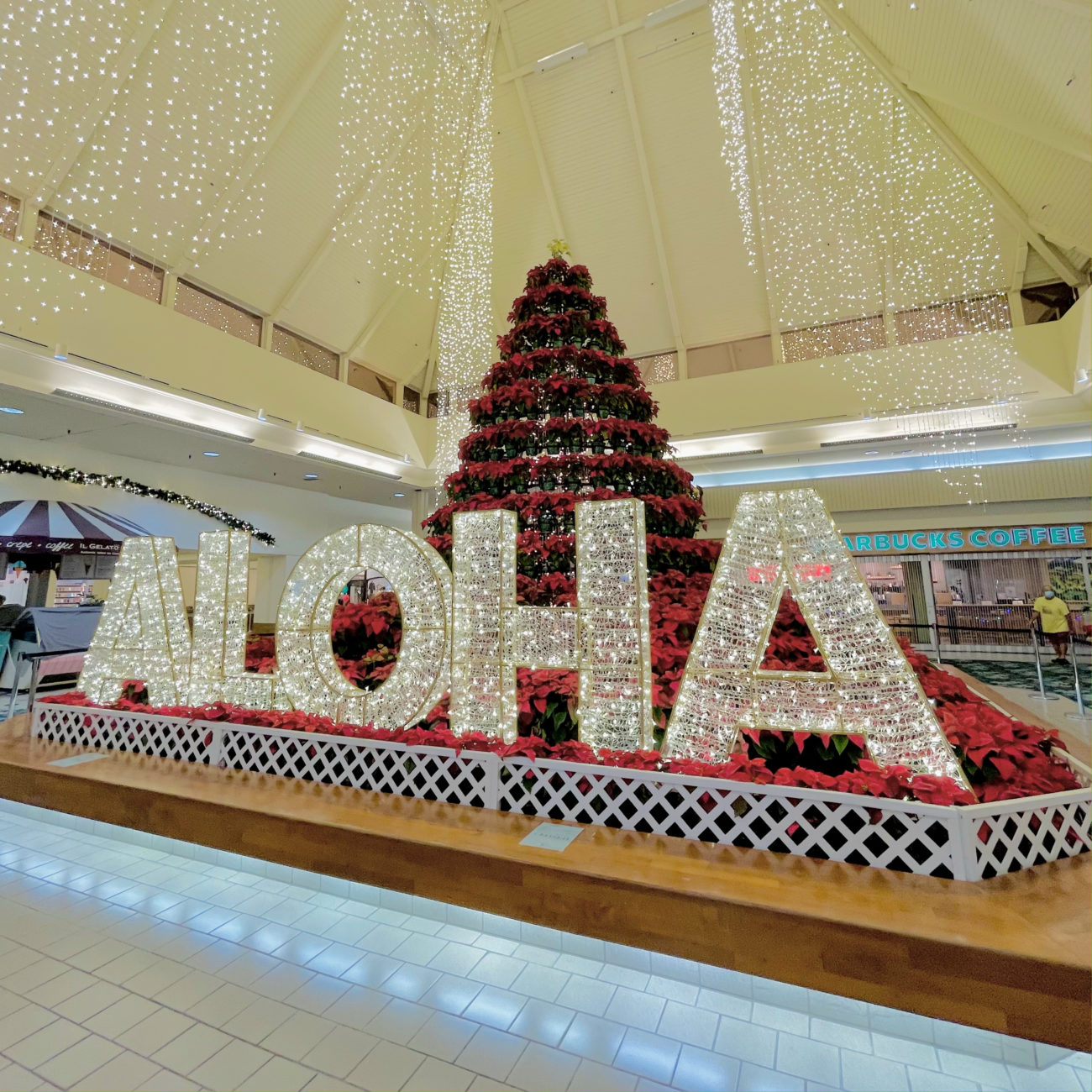 Hawaii / 2020年のクリスマスツリー特集 LIFE IN HONOLULU by YUSAKU INOUE